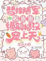 替嫁绝配 替嫁绝配