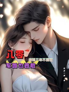 八零年代军婚系列