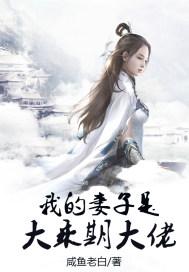 我的妻子是大乘期大佬是后宫吗